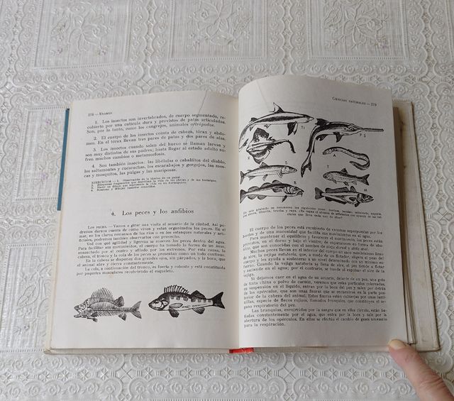 examen. Enciclopedia para Ingreso de Bachillerato