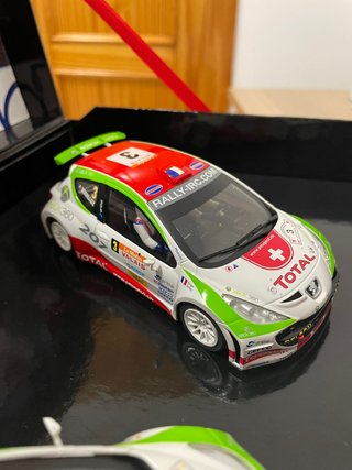 IRC 2007 Winners Peugeot Sport Box