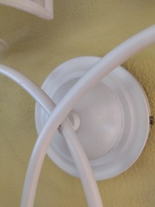 Applique classico Flora