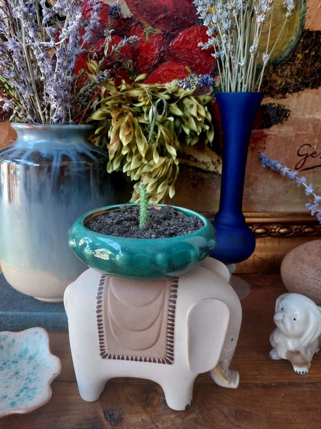 FIGURA ELEFANTE FIRMADA · CERÁMICA · FENG SHUI