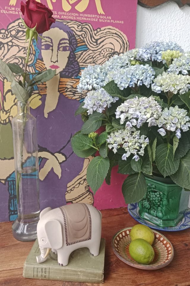 FIGURA ELEFANTE FIRMADA · CERÁMICA · FENG SHUI