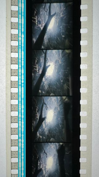 Alicia en pais de las maravillas Fotogramas 35mm