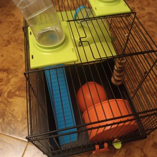 Jaula para hamster