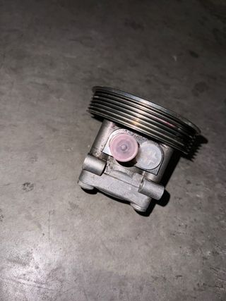 Bomba direccion zf