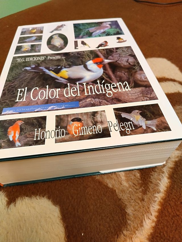 El color del indigena
