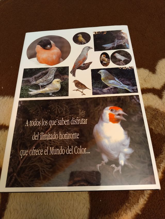 El color del indigena