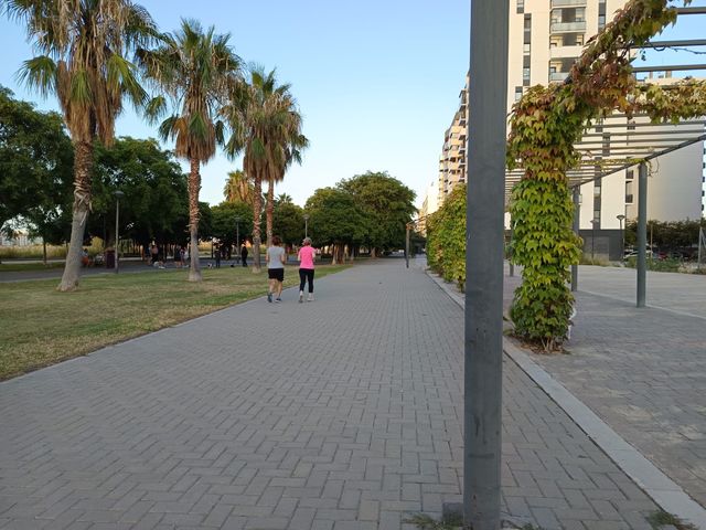 Sesiones mantenimiento rio Valencia