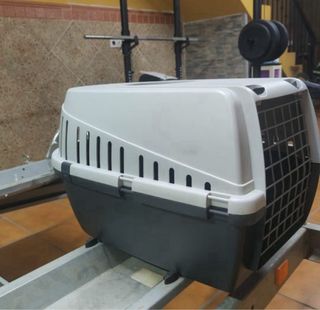 Transportin mascota