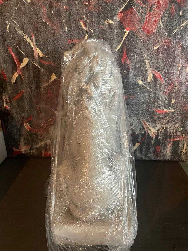 Coppia Leoni in pietra giapponese