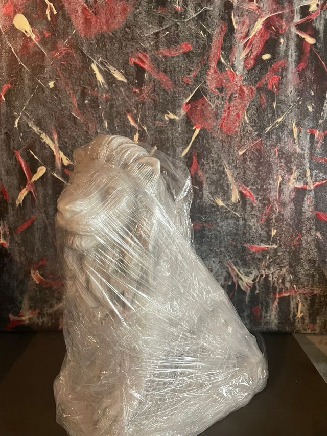 Coppia Leoni in pietra giapponese