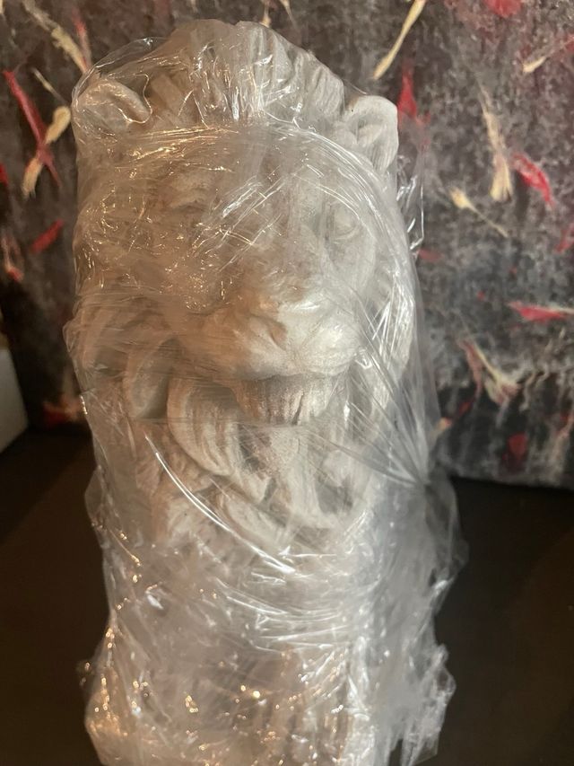 Coppia Leoni in pietra giapponese