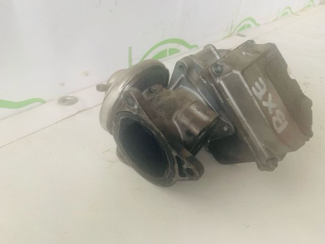 Egr, Mariposa grupo Volkswagen 1.9 TDI