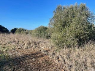 Solar en venta en Campos