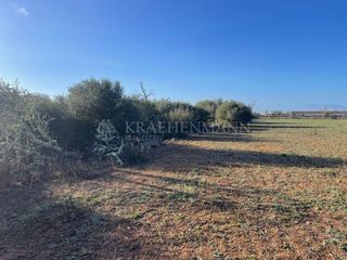 Solar en venta en Campos