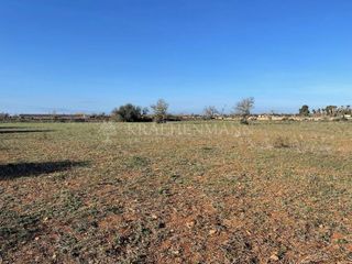 Solar en venta en Campos