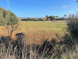 Solar en venta en Campos