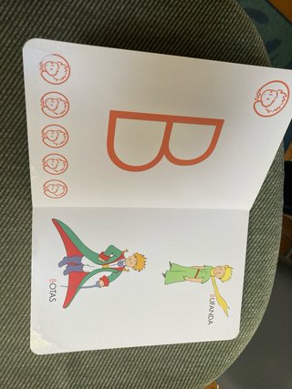 Libro Principito