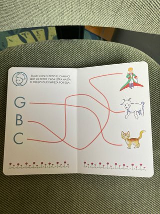 Libro Principito