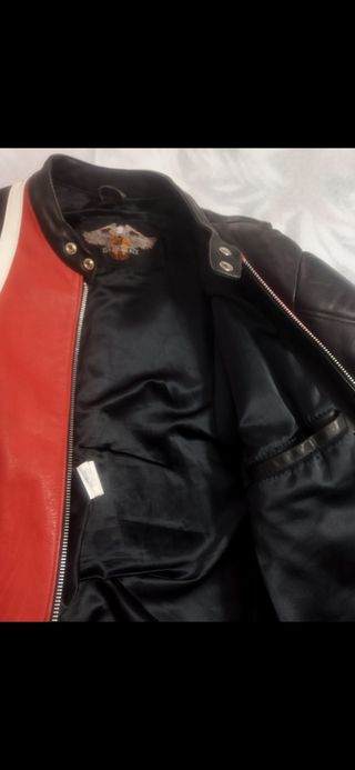 Cazadora de Moto