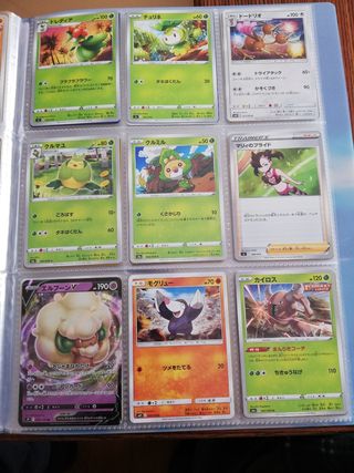 Pokemon álbum cartas japonesas