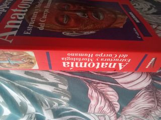 Libro Lippert Anatomía