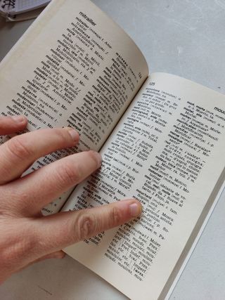 Diccionario francés español