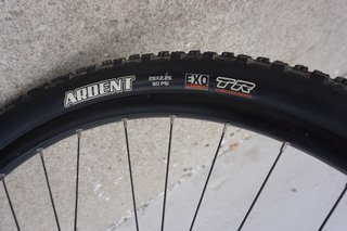 Bicicleta MTB CARBONO
