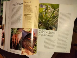 Libro UN HUERTO EN TU TERRAZA de Alex Mitchell