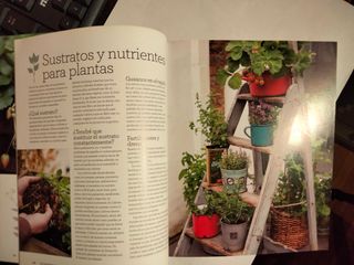 Libro UN HUERTO EN TU TERRAZA de Alex Mitchell