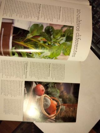 Libro UN HUERTO EN TU TERRAZA de Alex Mitchell