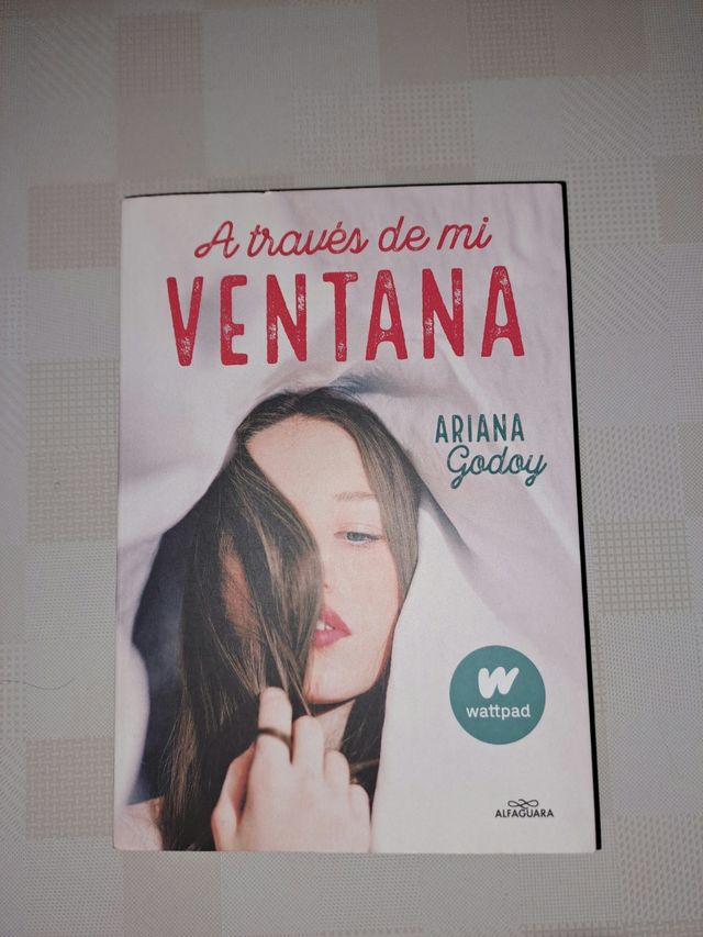 Libro A traves de mi ventana