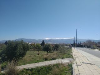 Solar/Parcela urbano