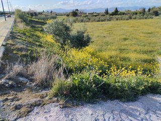 Solar/Parcela urbano