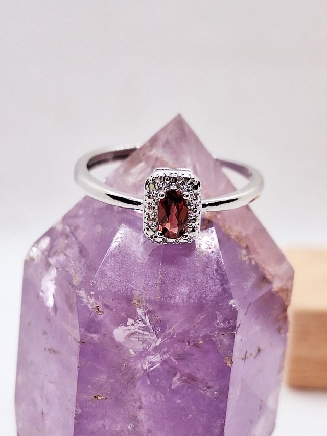 Anello in acciaio e Granato naturale ros