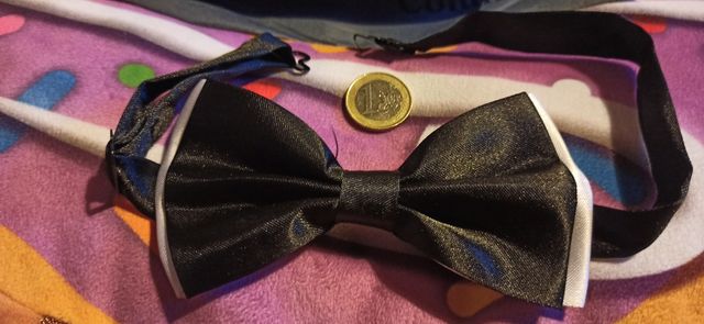 Papillon nero e bianco