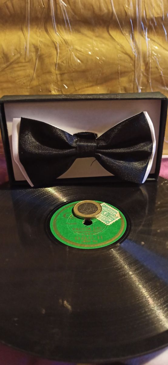 Papillon nero e bianco