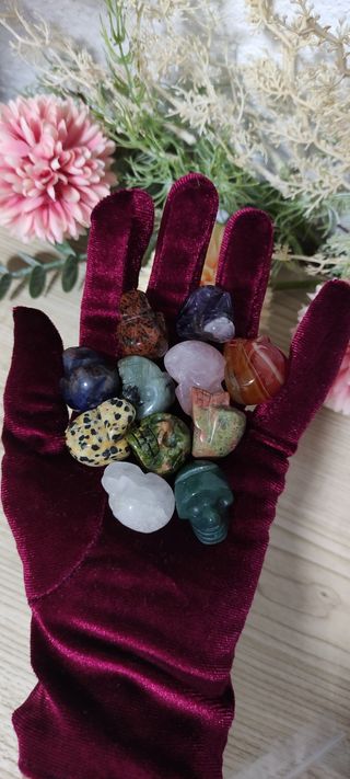 Diferentes tamaños Calavera craneo piedras mineral