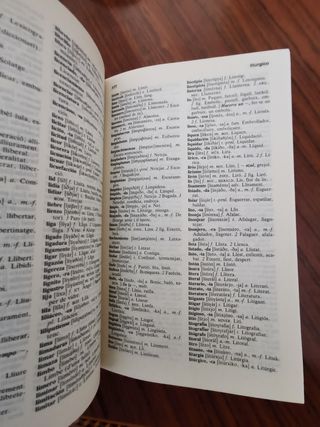 Diccionario català-castellà/castellà-català