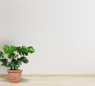 Vaso Terracotta Toscano Artigianale | Esterno/Inte
