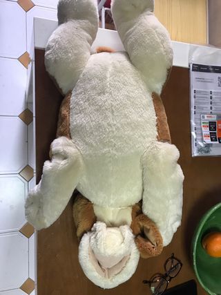 Peluche perro