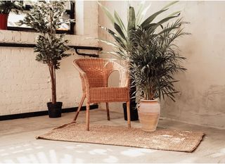 Vaso in Terracotta Toscana Artigianale - Spedizion