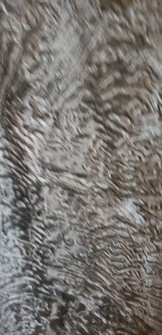 Abrigo de astracan 
