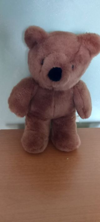 Orsacchiotto peluche
