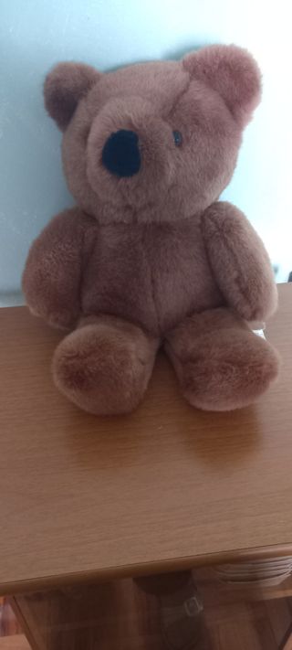 Orsacchiotto peluche