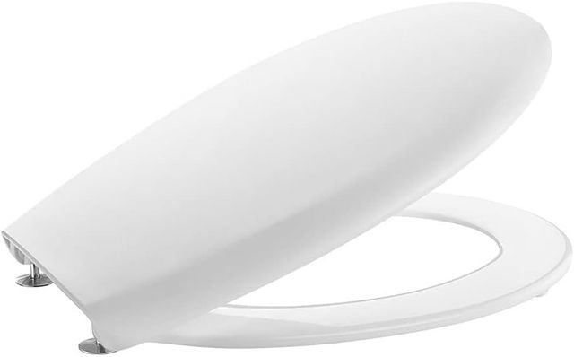 Asiento inodoro Roca Victoria bisagras inox