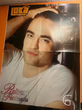 Pósters Crepúsculo