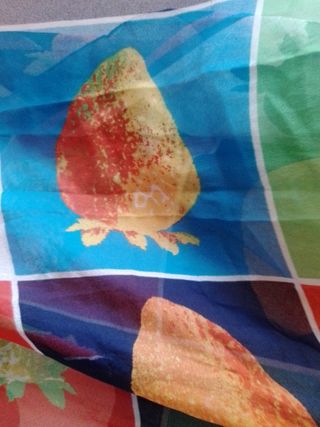 Pañuelo 