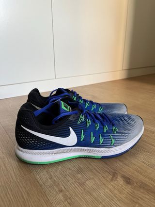 Nike Pegasus 33