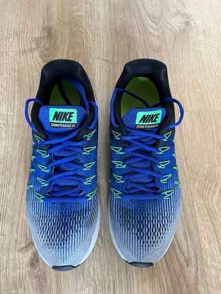 Nike Pegasus 33