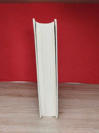 Libro Concilio Vaticano II, Constitucion